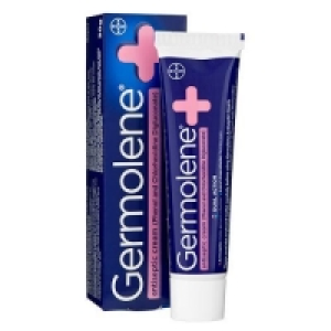 Poundland  Germolene 30g