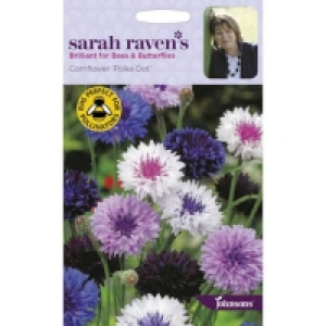 Sarah Ravens Cornflower Polka Dot Seeds £2.65