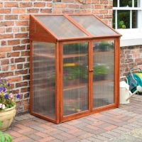RobertDyas  Rowlinson Hardwood Mini Greenhouse