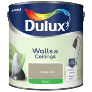 Dulux Silk Paint 2.5L - Overtly Olive