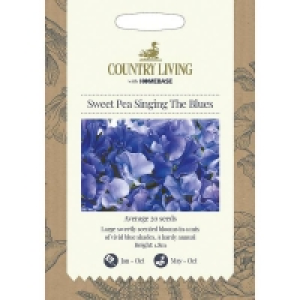 Country Living Sweet Pea Singing The Blues Seeds £1.00