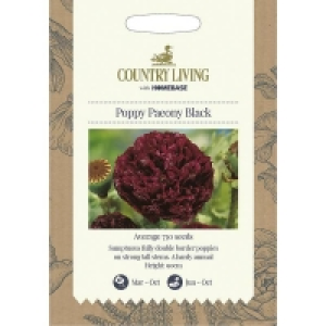 Country Living Poppy Paeony Black Seeds £1.00