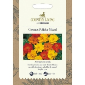 Country Living Cosmos Polidor Mixed Seeds £1.00