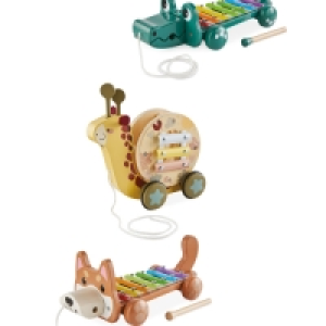 Wooden Musical Pull Along Animals
