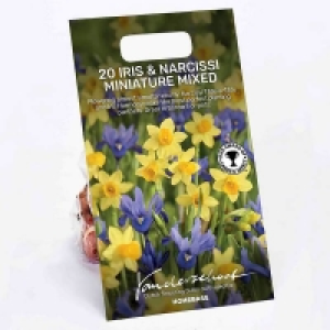 Dutch Iris Mixed £6.00