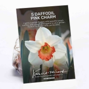 Daffodil Pink Charm Plant Bulbs £4.00