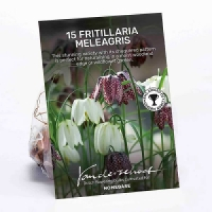 Frittilaria Meleagris £4.00