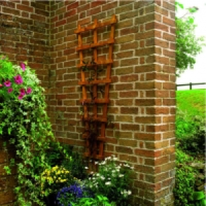 Forest Garden Heavy Duty Fan Trellis - 1830 x 600mm