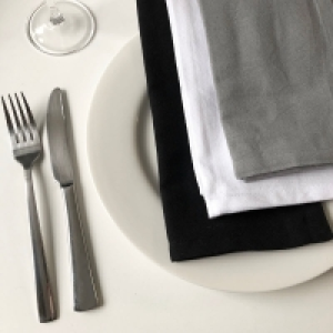 InExcess  Oversized Cotton Dinner Napkins 20 Inch x 20 Inch - Set of 12