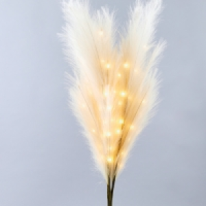 Kirkton House Lit Pampas Grass