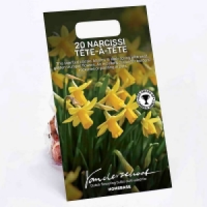 20 Narcissus Tete-a-Tete £4.50