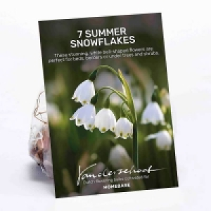 Summer Snowflakes £3.00