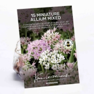 Allium Mixed £3.00
