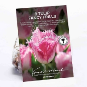 Tulip Fancy Frills £3.00