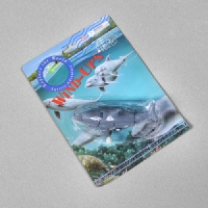 InExcess  Wind Up Dolphin