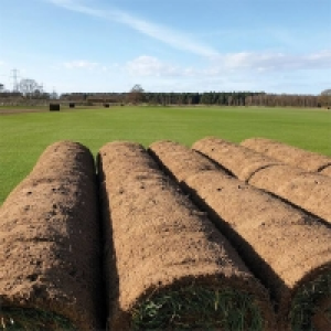 Homebase  Classic Fresh Turf Roll