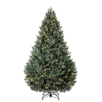 Homebase  7ft Blenheim Pine Pre-lit Premium Christmas Tree