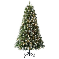 Homebase  6ft Derry Spruce Pre-lit Premium Christmas Tree