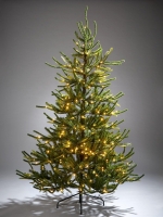 LittleWoods  7ft Fraser Fir Upswept Pre-Lit Mixed Tips Christmas Tree