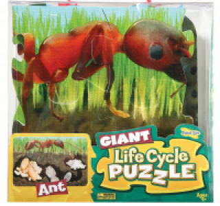 InExcess  Insect Lore - Ant Lifecycle Floor Puzzle