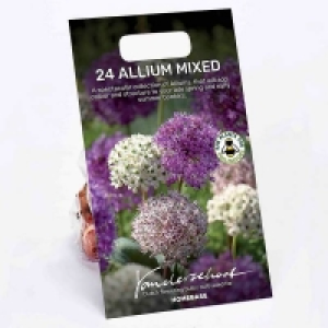 Miniature Allium Mixed £6.75