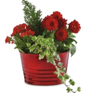 Perfect Christmas Basket