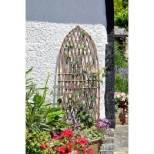 Homebase  Smart Garden Minster Willow Trellis Point 1.8 X 0.6m