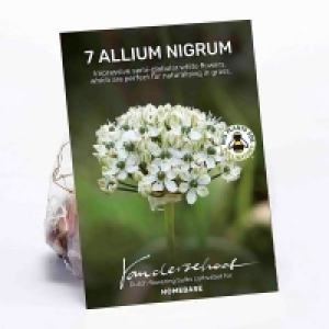Allium Nigrum