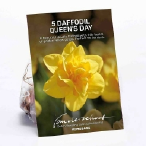 Offer Homebase Double Daffodil Queensday flowerbulbs Homebase