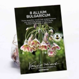 Allium Bulgaricum