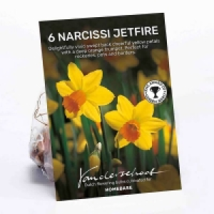Narcissus Jetfire
