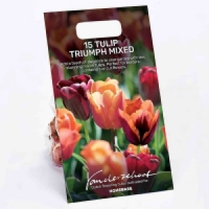 Tulip triumph mixed Jimmy, Slawa & Jan Reus