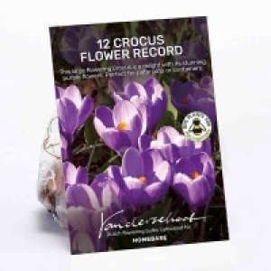 Crocus Flower Record