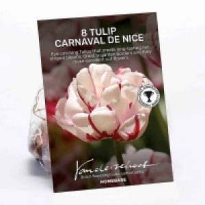 Tulip Carnaval de Nice