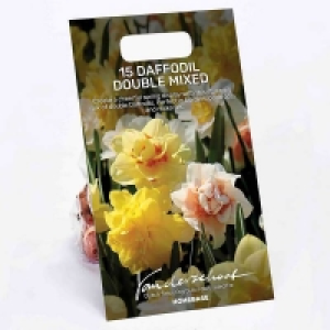 Daffodil double Mixed
