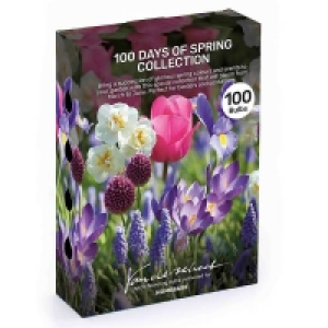 100 Days of Spring Flower bulbs Collection