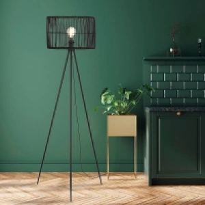 Benji Rattan Floor Lamp