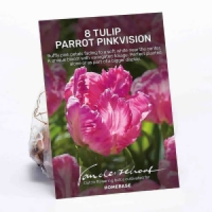 Homebase  Tulip Parrot Pinkvision