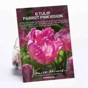Tulip Parrot Pinkvision