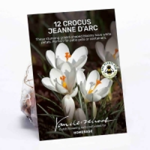 Crocus vernus, Jeanne dArc Flower bulbs