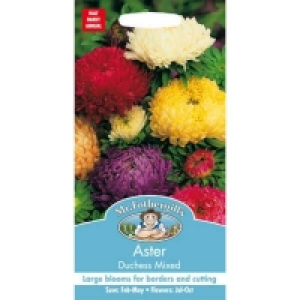 Homebase  Mr. Fothergills Aster Duchess Mixed Seeds