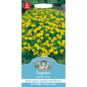 Mr. Fothergills Tagetes Lemon Gem Seeds