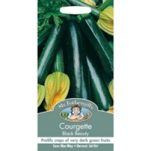 Mr. Fothergills Courgette Black Beauty Seeds