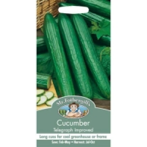 Mr. Fothergills Cucumber Telegraph Improved Seeds
