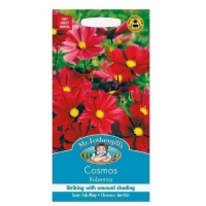 Mr. Fothergills Cosmos Rubenza Seeds