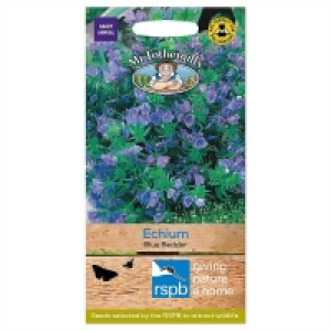 Mr. Fothergills Echium Blue Bedder Seeds