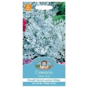 Mr. Fothergills Cineraria Silver Dust Seeds