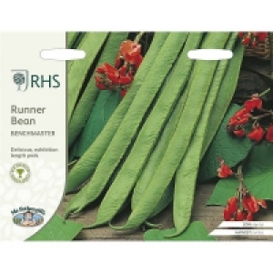 RHS Runner Bean Benchmaster Seeds