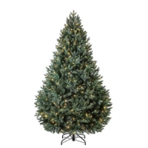 7ft Blenheim Pine Pre-lit Premium Christmas Tree