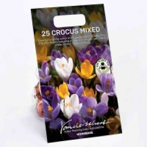 Mixed Crocus Bulbs